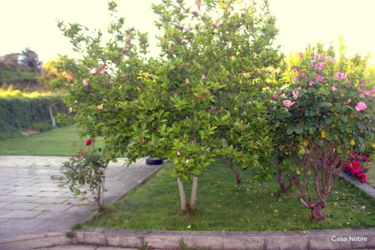 Retiro Na Natureza Casa Com Piscina Digueifel Exteriér fotografie